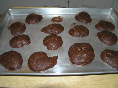 Almost Vegan Chocolate Chocolate Cocunutty Cookies